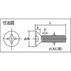 B702-0575 皿頭小ねじ (三価クロメート・全ねじタイプ) TRUSCO 08306663