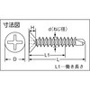 FJ-35 ドリルねじサラ(金物・サッシ用) TRUSCO 08332764