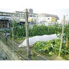 TUW-16-20 有刺鉄線 TRUSCO 08349381