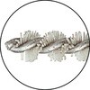 IMS-5 軸付マイクロブラシ TRUSCO 08371605