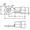 BT5.5-SS3 (~h) p≏핢t[q(BT^) ym[qH 08568305