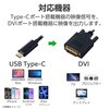 CAC-CDVI10BK2 USB Type-C - DVI 変換ケーブル ( USB-C プラグ to DVI-D プラグ ) 1920×1080 60Hz エレコム 08766610
