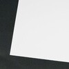 09067838