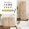 RSR-1702NA tbgV[YbN 60cm  09106207
