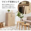 RSR-1702NA tbgV[YbN 60cm  09106207
