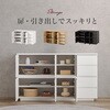 RCC-1491WH Lrlbg TCh{[h 119cm  09108115