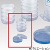アズノールシャーレ