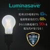LSF-A100N LSF電球100W型昼白色 ドウシシャ 09209868