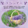 - お部屋の消臭力 玄関・リビング用 エステー 09439647