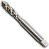 SP P2 M6�~0.75 �X�p�C�����^�b�v SP YAMAWA(���}��/�햞�a���쏊) 09463772