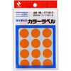 ML-171N13 マイタックTMラベル カラーラベル ニチバン 09528420