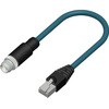 206-7672 RS PRO イーサネットケーブル, 10m, ティール, 錫めっき銅 編組 RS PRO 09605876