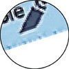 09680675