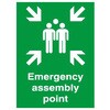 763-1503 ���h�W�� RS PRO Emergency assembly point �v���X�`�b�N ��/�� �T�C�� RS PRO 09861060