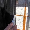09894195