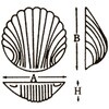 09898616