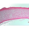 09920745
