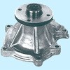 09924494