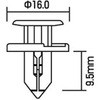 1921 vXeBxbg G[ 09935301