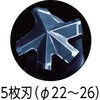 10037614,37644625