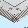 55810466,79513649,79515137