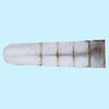 �_�k�p�� DIY�N�T�r �y�� 10256723