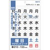 曜日 マグネット 特大