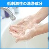 - ソフティ 薬用ハンドウォッシュ10 花王 10923386