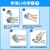 - ソフティ 薬用ハンドウォッシュ10 花王 10923386
