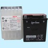 YTX7A-BS-GY2 VRLA(َ)oCNpobe[ GSAT 10960695