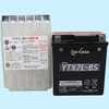 YTX7L-BS-GY2 VRLA(َ)oCNpobe[ GSAT 10960704