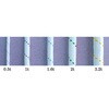 11103736,11103745,11103761,11103770,11103779,11103788,11103797,11103806