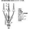 6CIT-A22S(JCAA6KCVT22E`) JCAAKi[ޗ e[v`(6600V CV-TP[up Zd@VXe 11125152