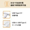 P-TPACST05WH タッチペン スタイラスペン 充電式 USB Type-C 急速充電 磁気吸着 交換用ペン先2個付属 オートオフ機能 エレコム 11134755