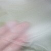 11154626,11154635