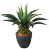 光触媒インテリアグリーン 観葉植物 エスエスケイ
