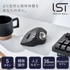 M-IT10BRABK トラックボールマウス Bluetooth 5ボタン 人工ルビーユニット エルゴノミクス IST エレコム 11282900