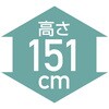 11301231,11301240