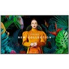 Samsung  QMC 65インチ 4K UHD 液晶ディスプレイ Samsung