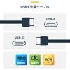 USB2CC3MBKE USB-C充電ケーブル/3m/USB 2.0/60W 3A/USB Power Delivery 2.0/オス-オス/ブラック/PD対応 ノートパソコン用 Type-C データ転送同期 高速充電コード StarTech.com 11529616