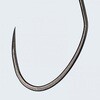 #10 i`ybg L[oO23 EverGreen INTERNATIONAL 11606336