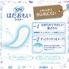 - ソフィ はだおもいライナー ユニ・チャーム 11724396