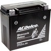 DTX20L-BS 2֗ptʃobe[(dtσ^Cv) ACDelco 11793486