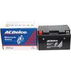 DTZ10S 2֗ptobe[ ACDelco 11793565