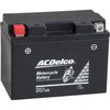 DTZ12S 2֗ptobe[ ACDelco 11793574
