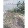 11894158,11894167,11894176