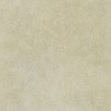 12047204