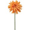FM001655-021 Ak}sbN MAGIQ() 12191657