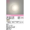OB255313R uPbgCg ODELIC(I[fbN) 12218975