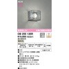 OB255135R uPbgCg ODELIC(I[fbN) 12219158
